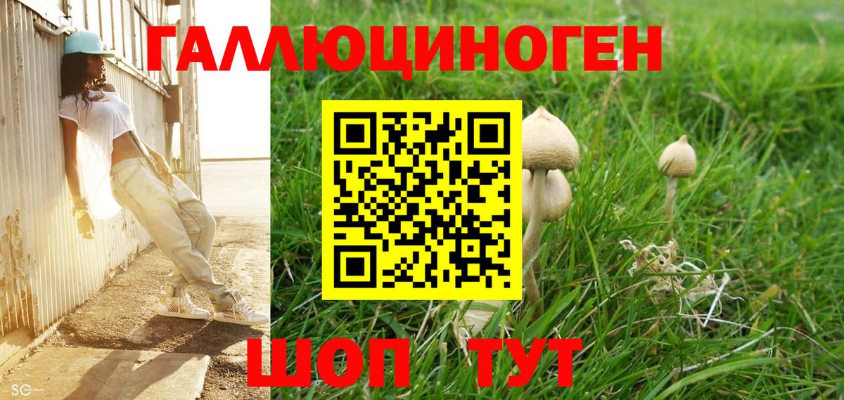 Псилоцибиновые грибы мухоморы  Вход с VPN  Галлюциногенные грибы ЛСД  Сланцы 